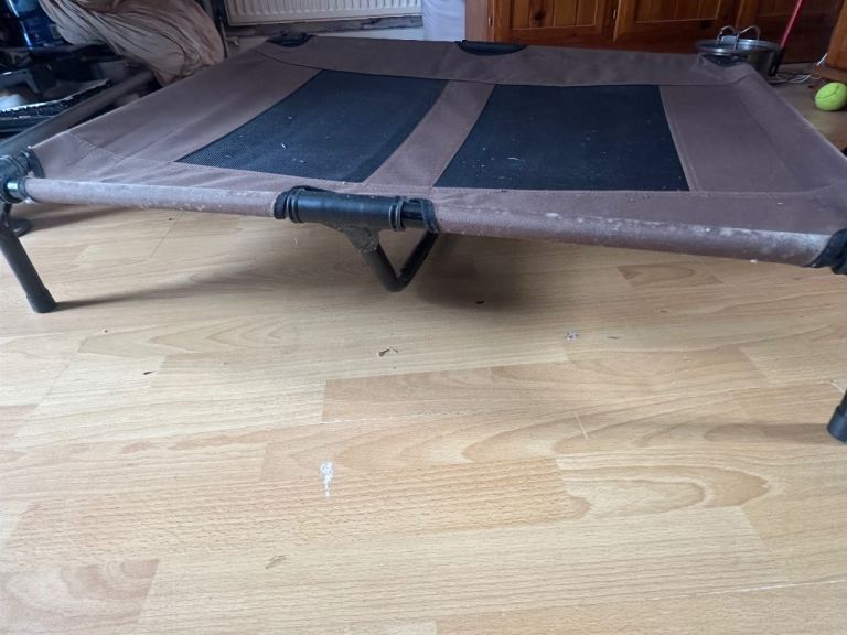 Raised dog bed