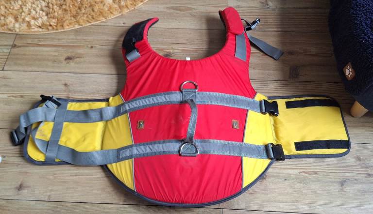 Dog life vest 