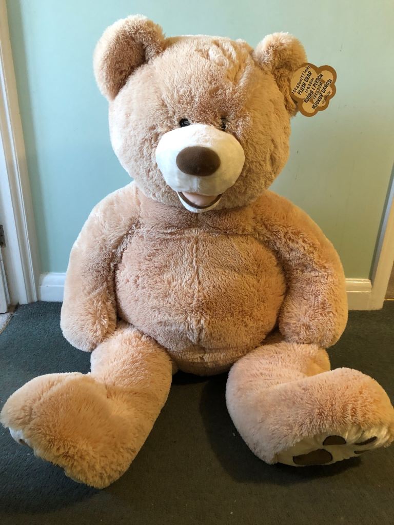 Large teddy bear 
