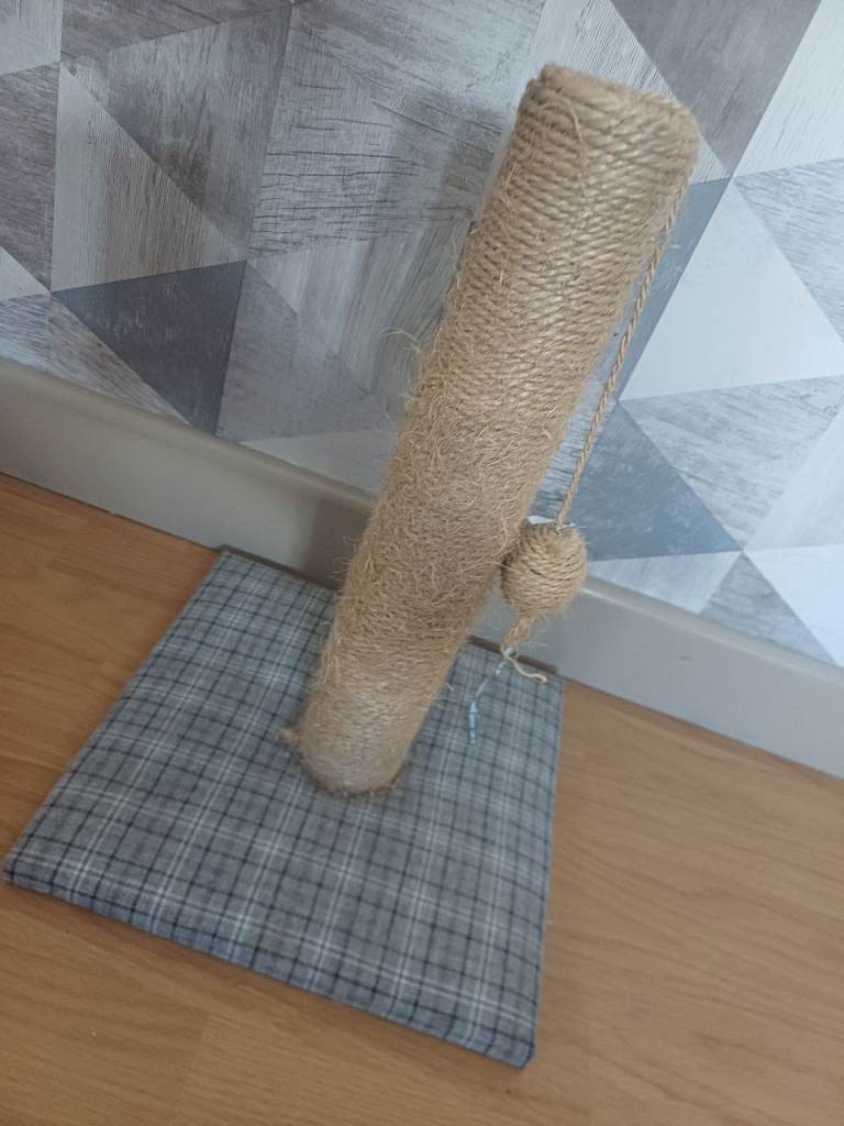 Cat Accessories 