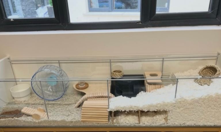 IKEA Detolf Hamster Enclosure