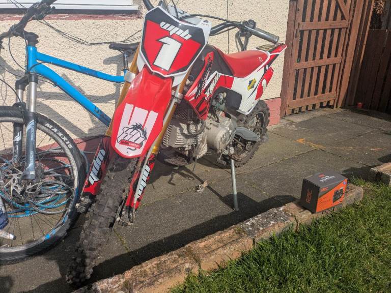 190cc Welsh pitbike like New 