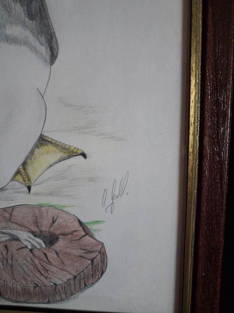 Signed Bird Drawing in Frame - Original Art