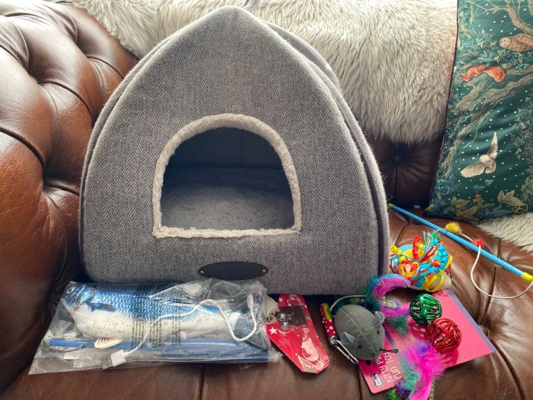 Tweed  igloo cat bed toys.