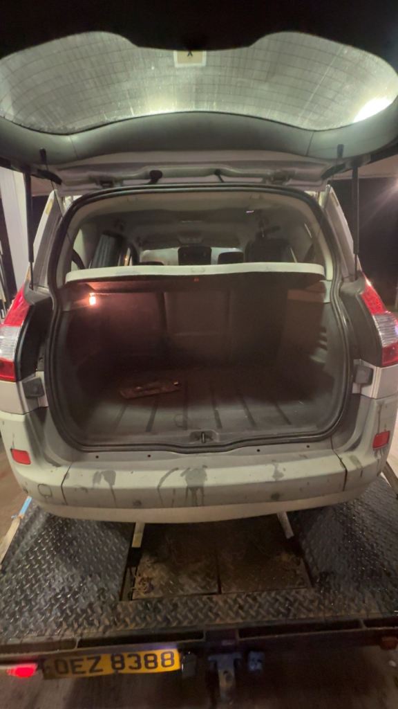 Renault, MEGANE SCENIC, MPV, 2007, Other, 1598 (cc), 5 doors