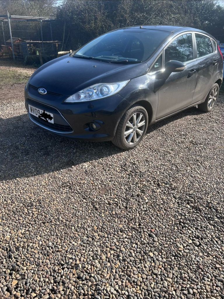 Ford, FIESTA, Hatchback, 2009, Manual, 1242 (cc), 5 doors