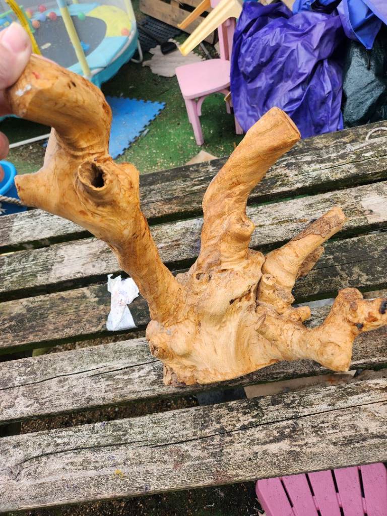Lizard wooden art piece