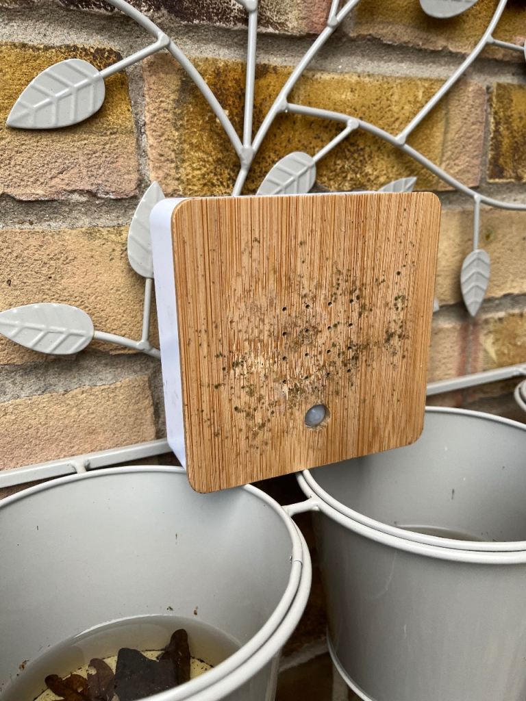 Bird speaker birds sounds 