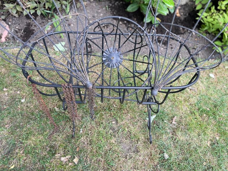 Hanging baskets and trough £5
