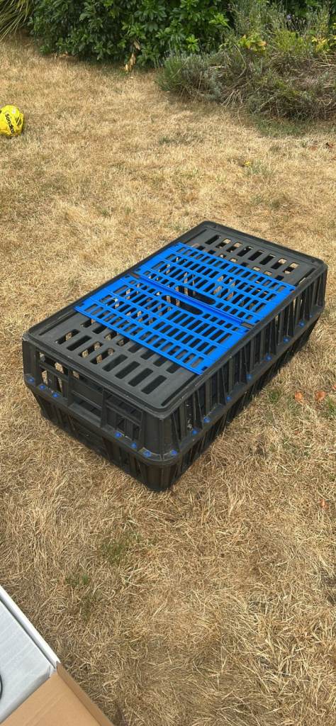 Chicken car transportation carrier