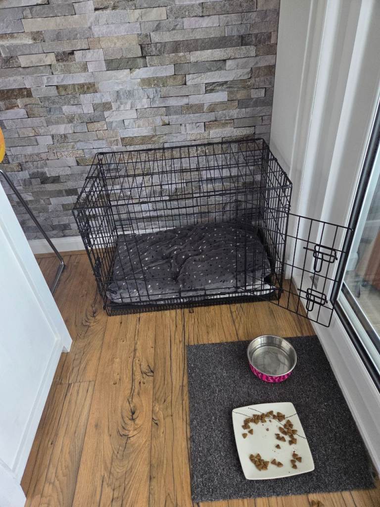 Dog cage medium