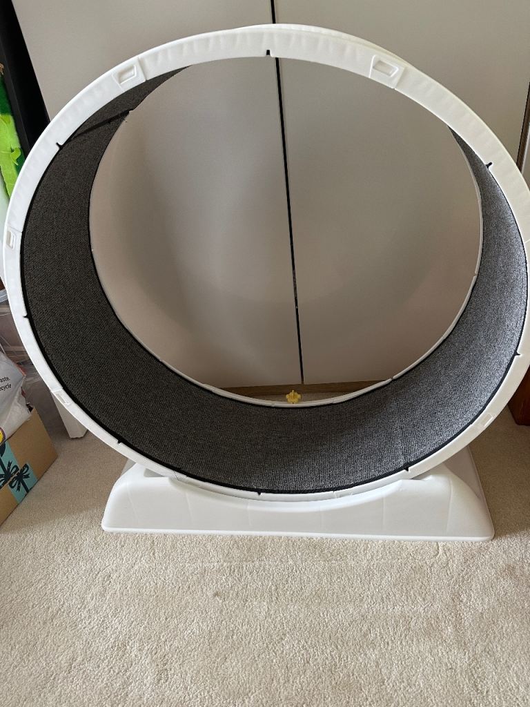 Large exercise wheel for cats