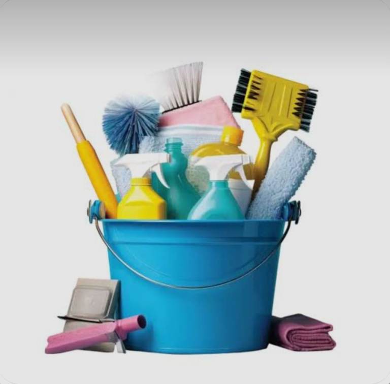 House Cleaner Professional Cleaning Service