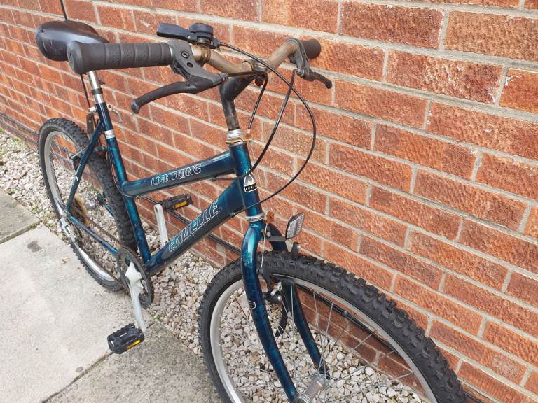 Ladies or teens mountain bike cheap Christmas 