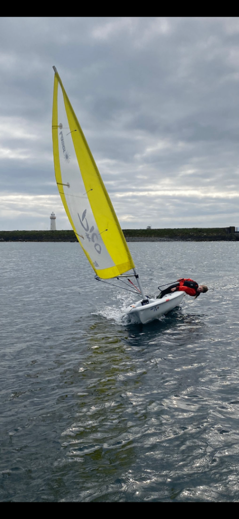 Laser Pico sailing dinghy boat 