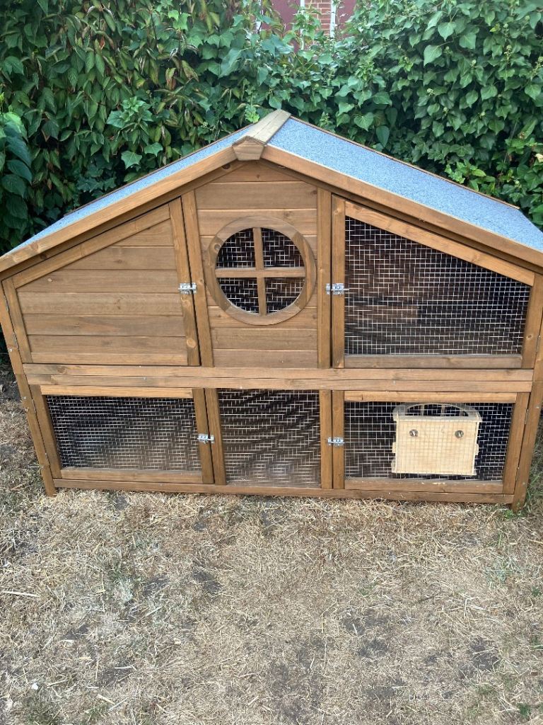 Pets at home rabbit lodge/hutch