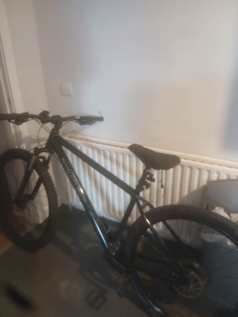Mountain bike
