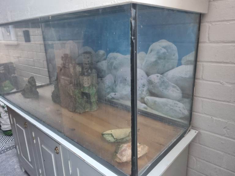 fish tank come with unit