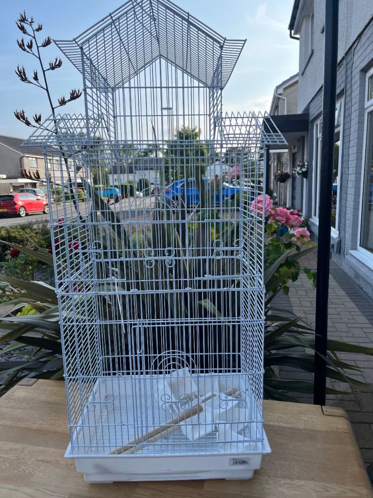 Bird cage