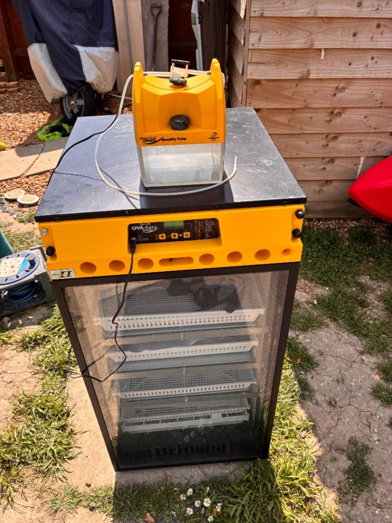 BRINSEA Chicken Incubator Bundle – Brinsea Job Lot 
