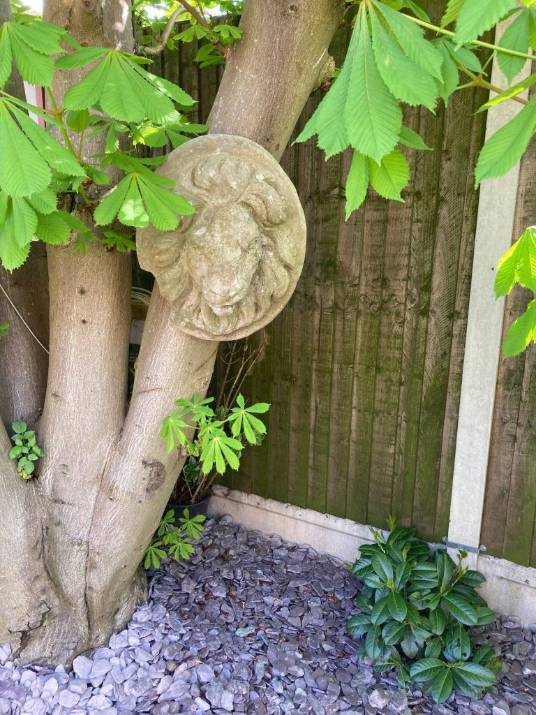 Garden Lions Head ONLY £5