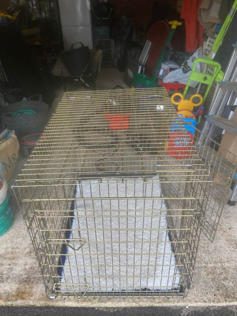 Dog cage for large dog