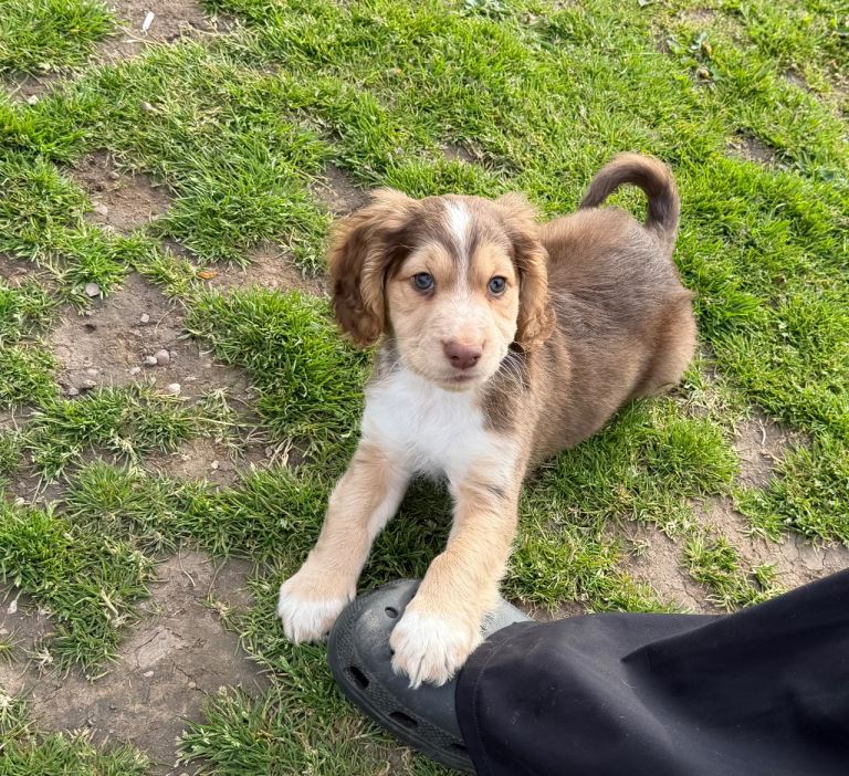 1 little boy left 🏡