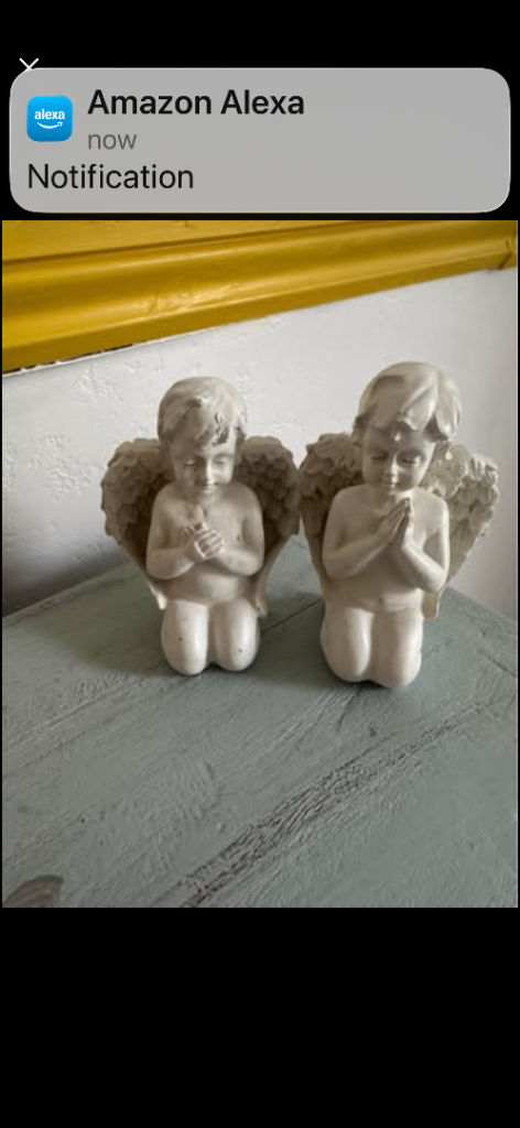Cherub ornaments 