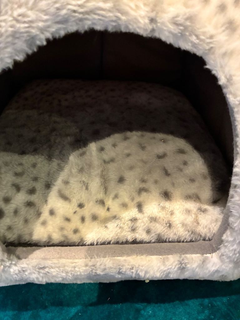 Cat Igloo 