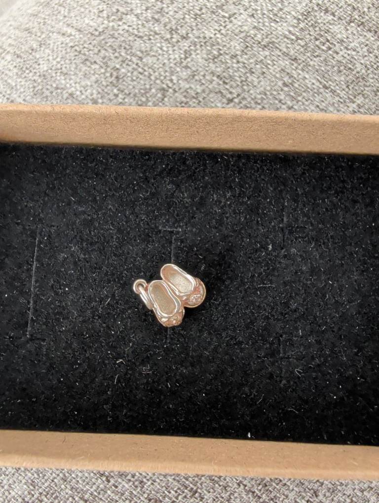 Silver charm 