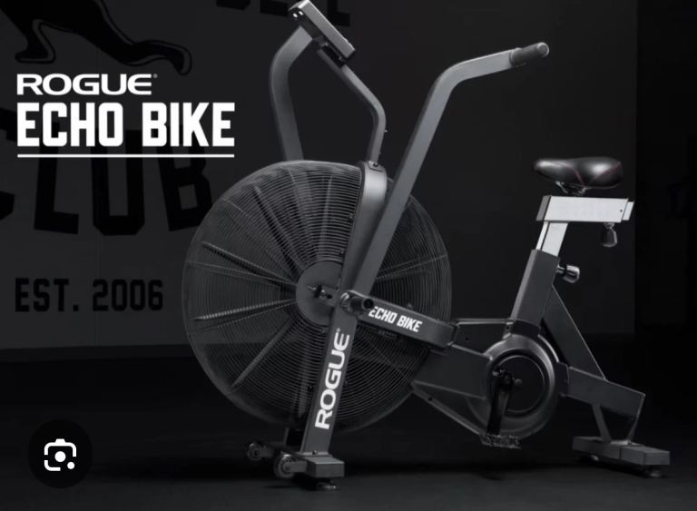 Rogue Echo exercise bike