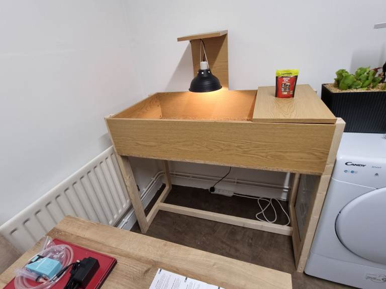 Tortoise and full set up