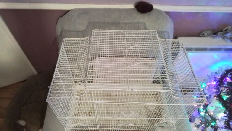 Large cage for sale 