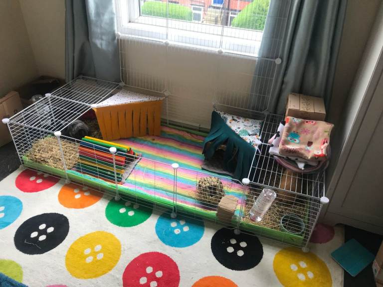 GUINEA PIG STARTER SET - C&C CAGE + ACCESSORIES