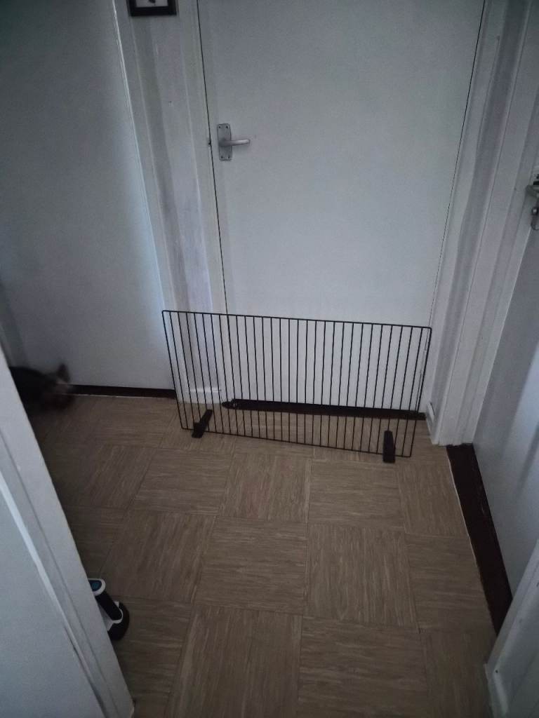 Stand alone dog gate