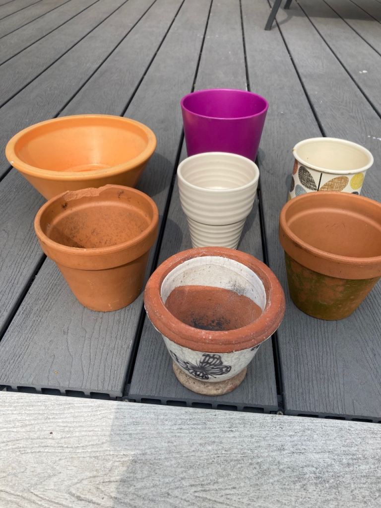 Mixed small plant pot selection 