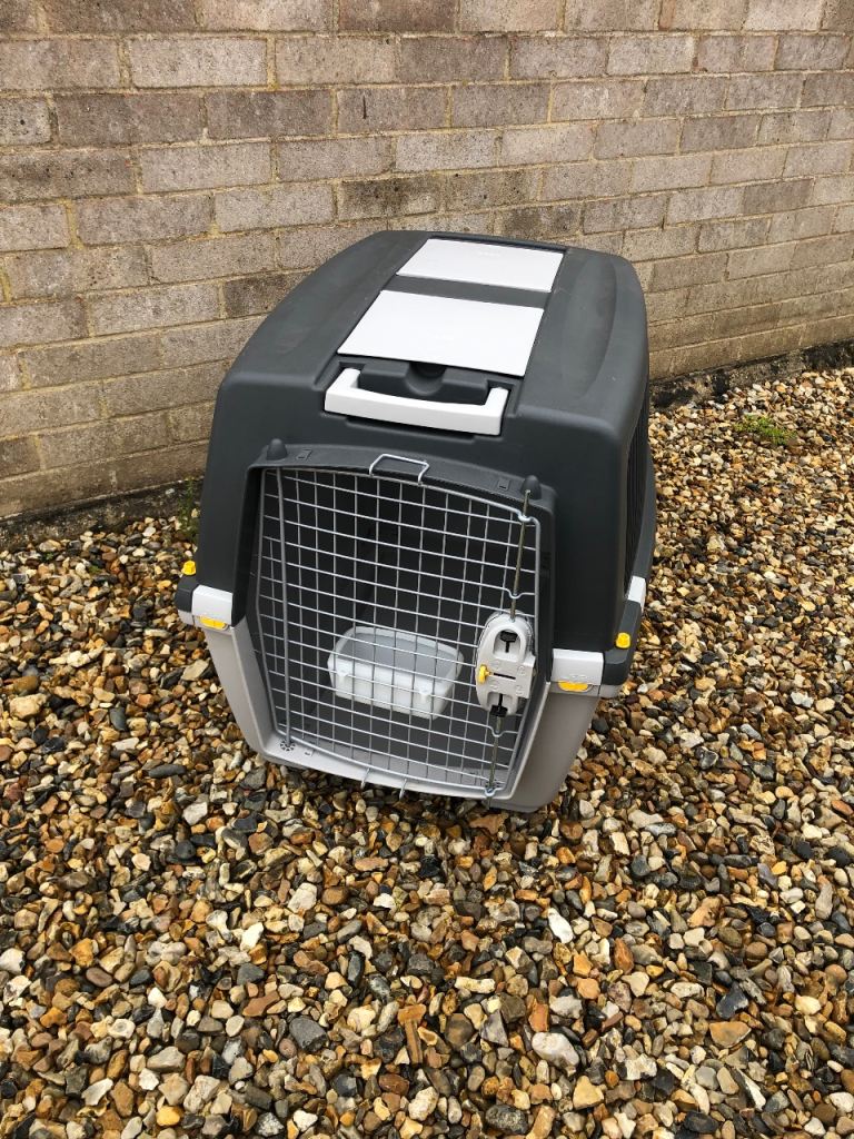 Pet transport create