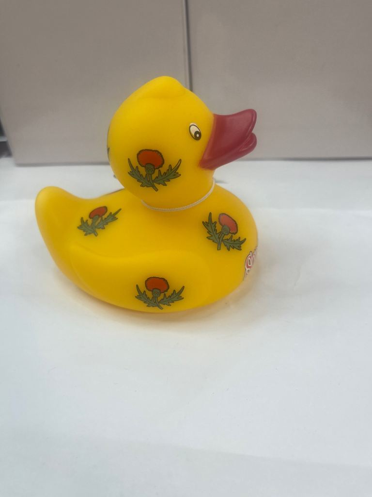 New Scotland Rubber Duck Bath Toy