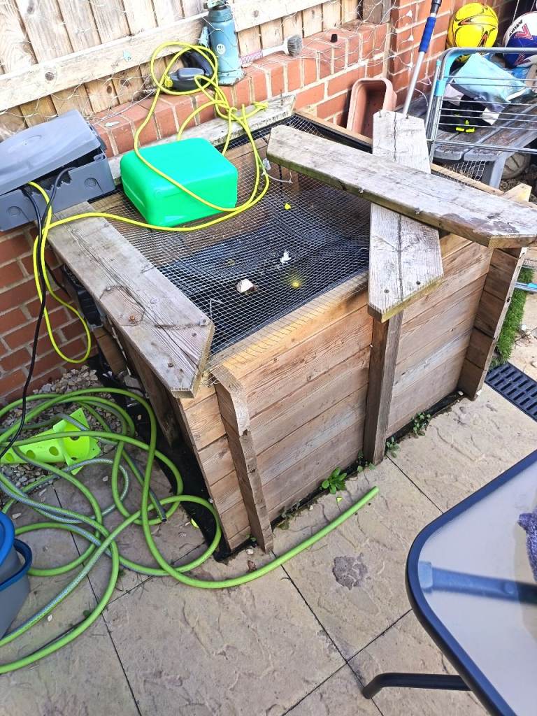 Free pond and filter 