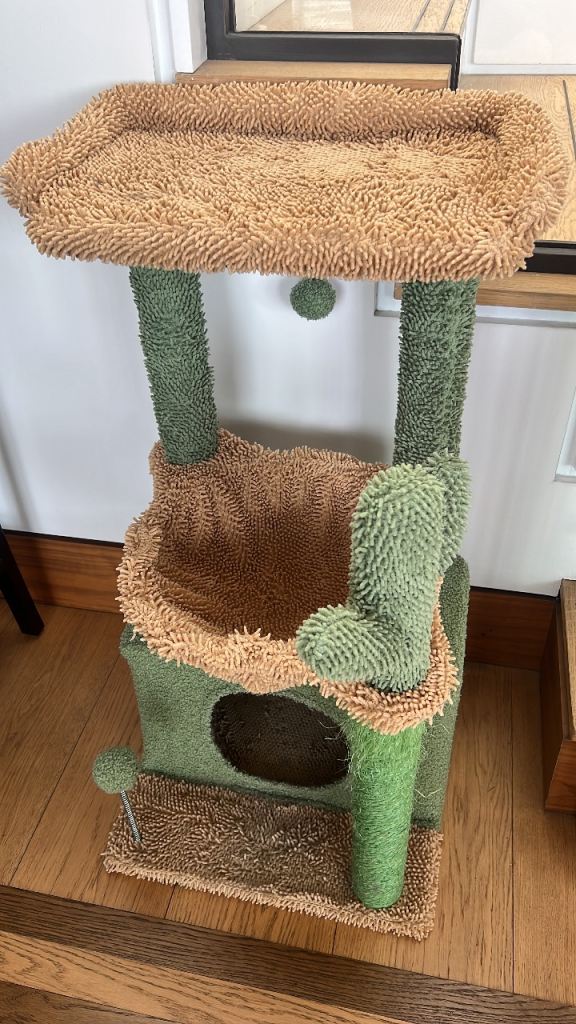 Cactus Cat Tree for Indoor Cats