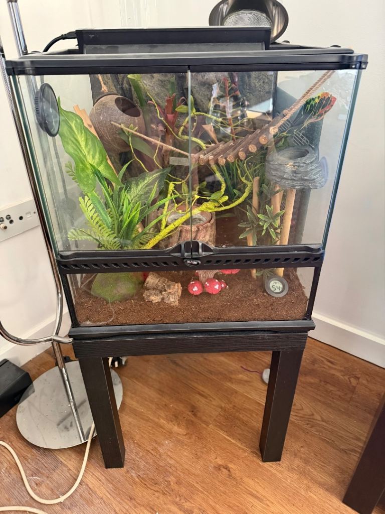 Reptile Vivarium 