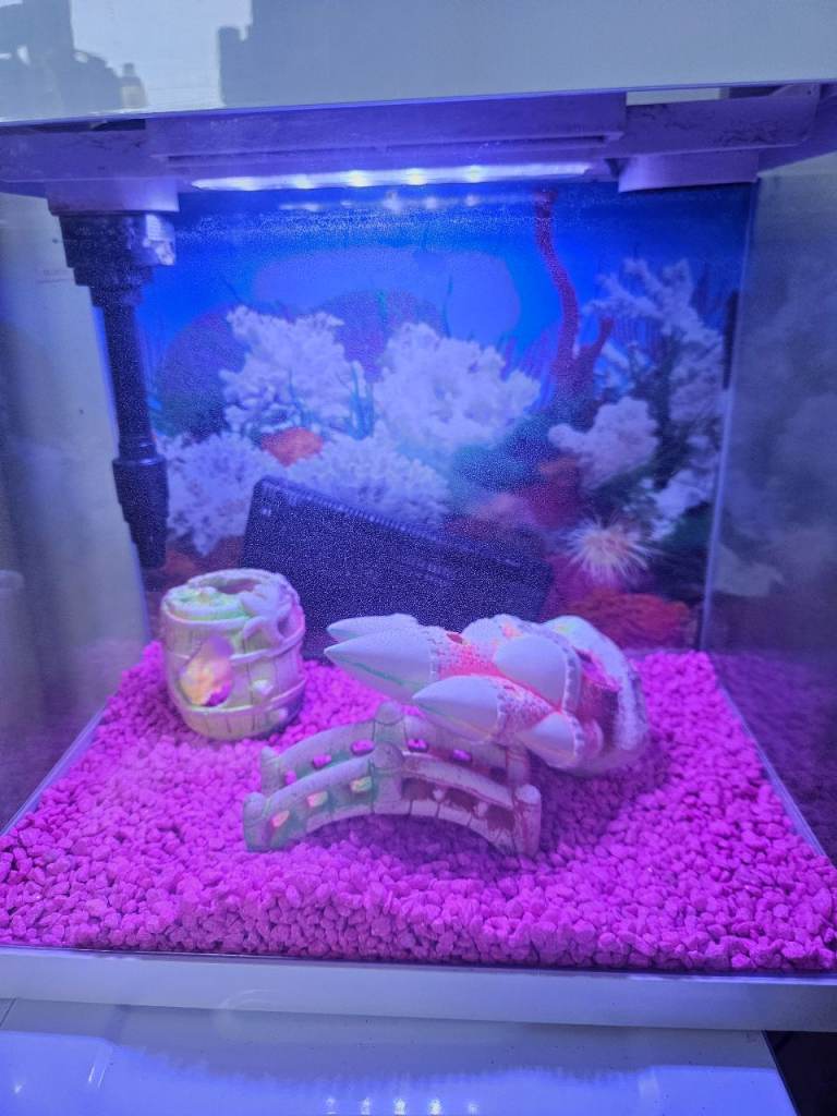 Superfish fish tank 