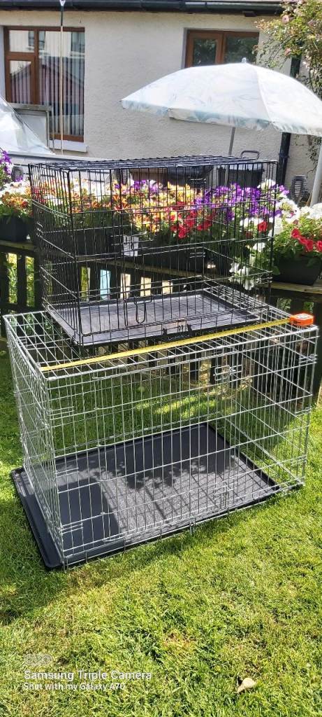 Dog crates