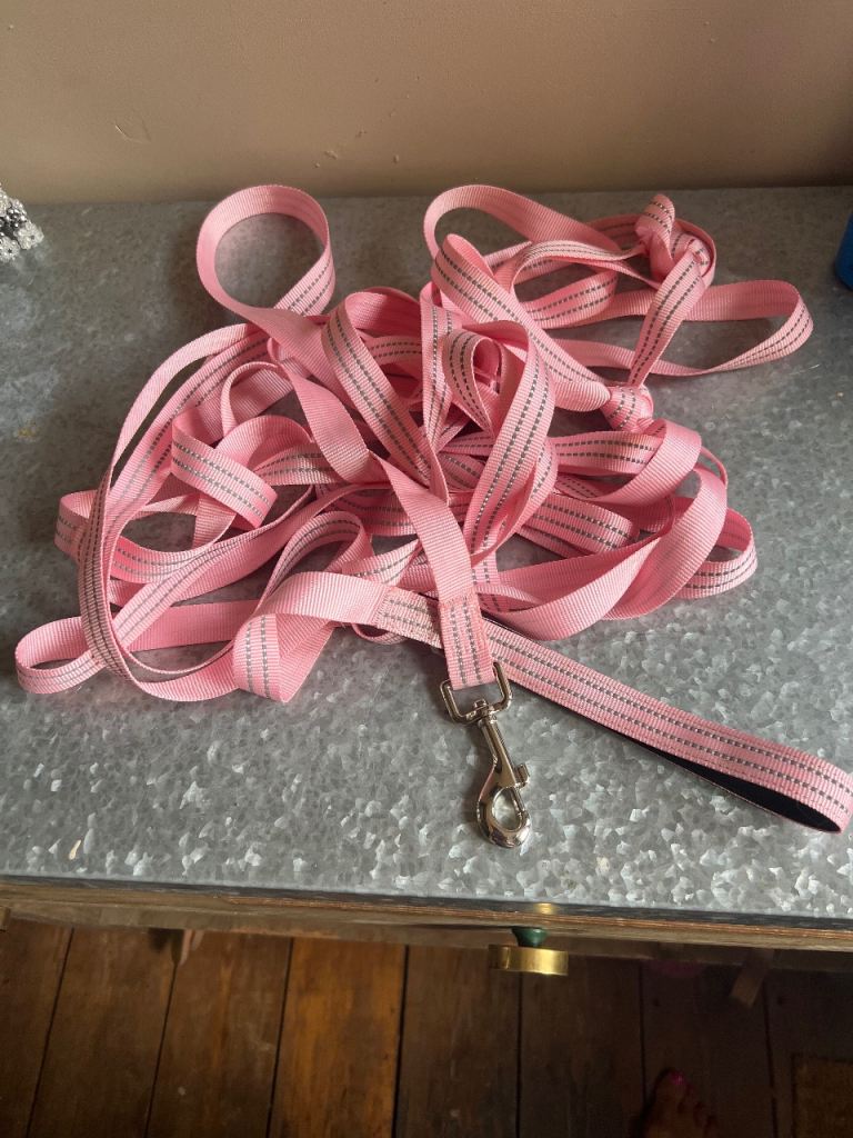 Puppy trading lead pink 5 m