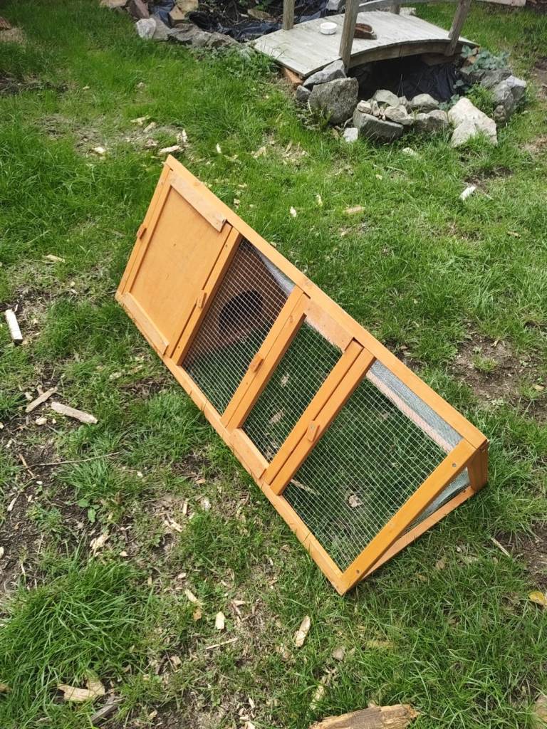 Rabbit run
