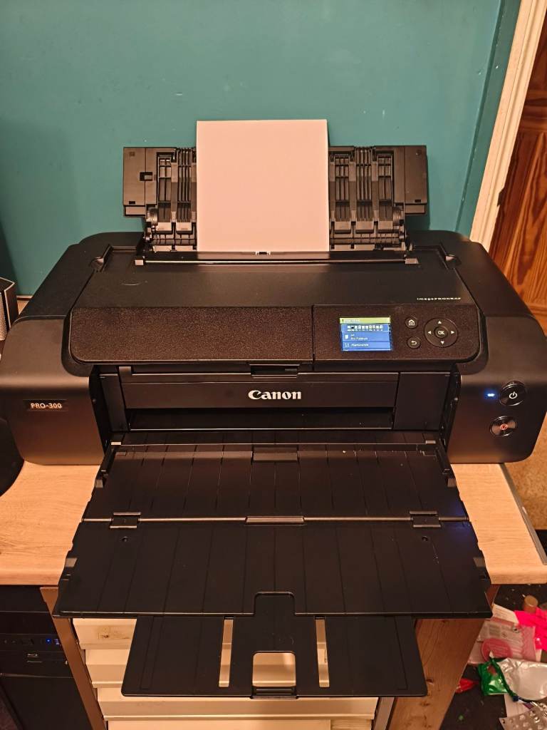 Canon Pro 300 A3 photo printer