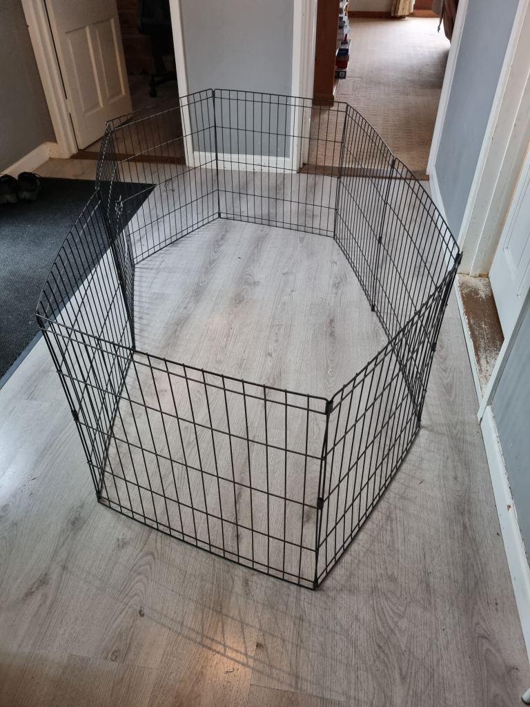 Animal pen 