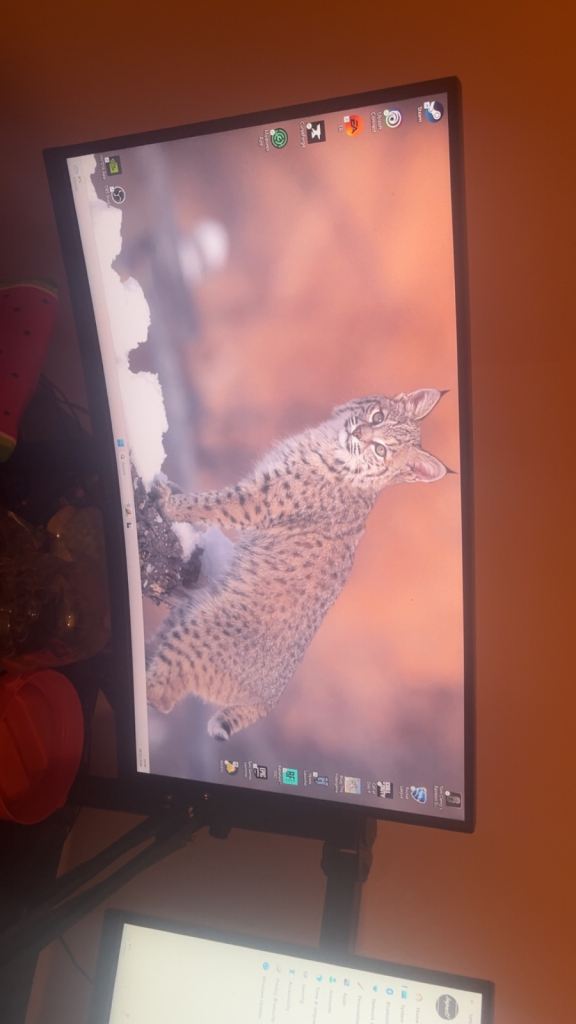 Gaming computer complete setup 