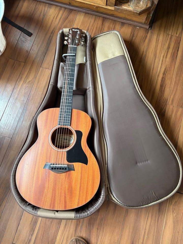 TAYLOR GS-MINI E