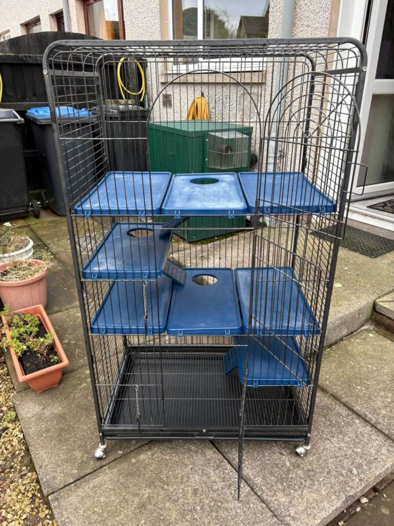 Small animal /bird cage